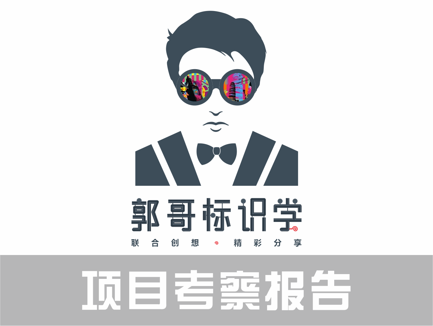 项目考察报告